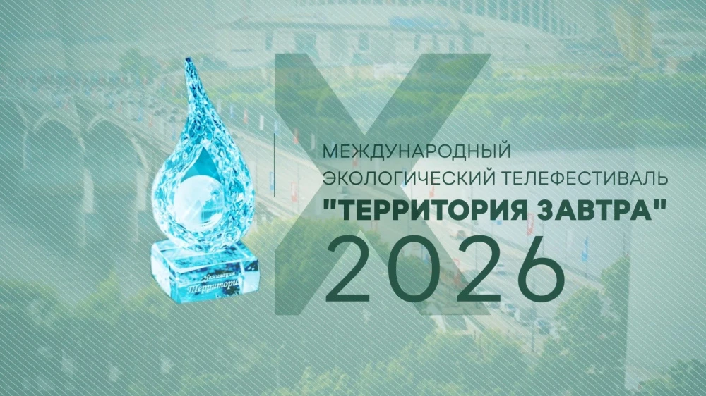 В Нижнем Новгороде пройдет X экологический телефестиваль «Территория завтра»

Юбилейный X Международ