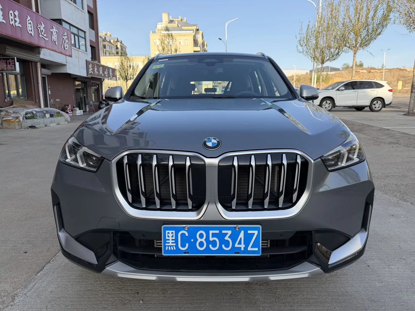 BMW X1 Sdrive 20Li