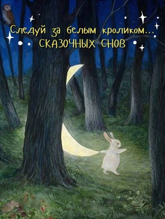 Доброй ночи, хороших снов! 🌃

Открытки в MAX ️💌Подписаться