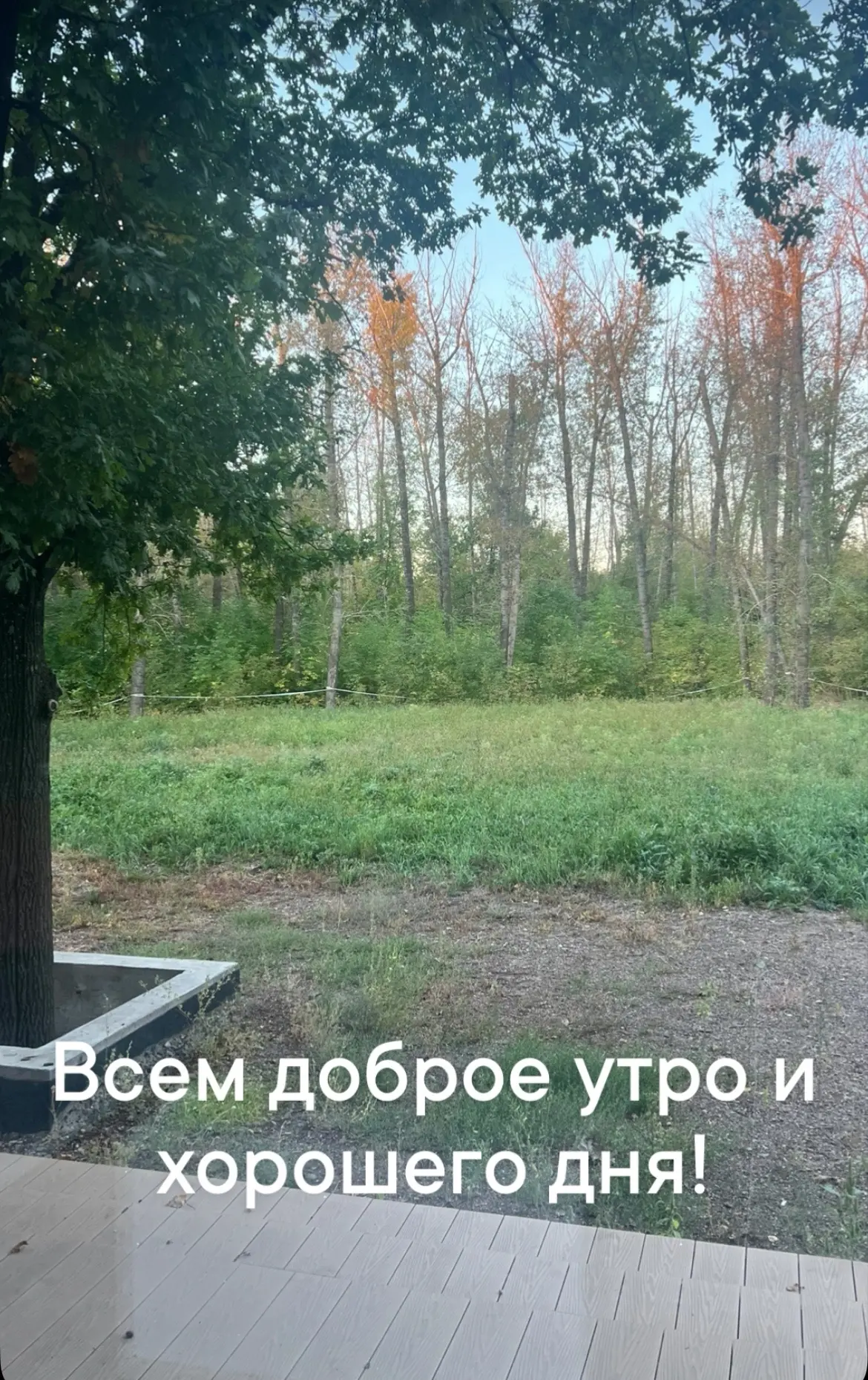 У меня в планах на сегодня прием, онлайн работа, километры и дела девочек.