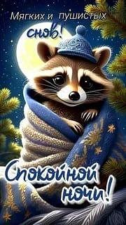 🌜Доброй ночи, дорогие подписчики! Доброй ночи, Запорожье!😴