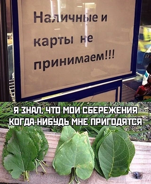 💸 Россияне стали чаще снимать наличные