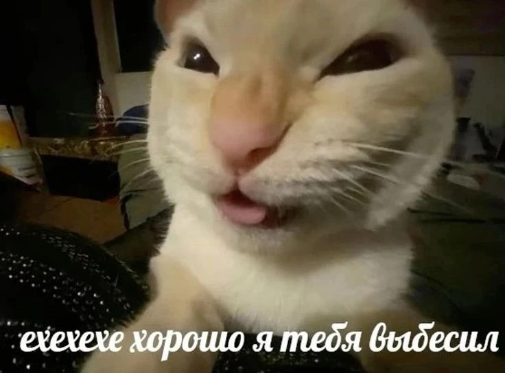 БЛИЗНЕЦЫ, 22 июня. У тебя талант по выбешиванию людей

🛑Твои личные предсказания судьбы в нашем бот