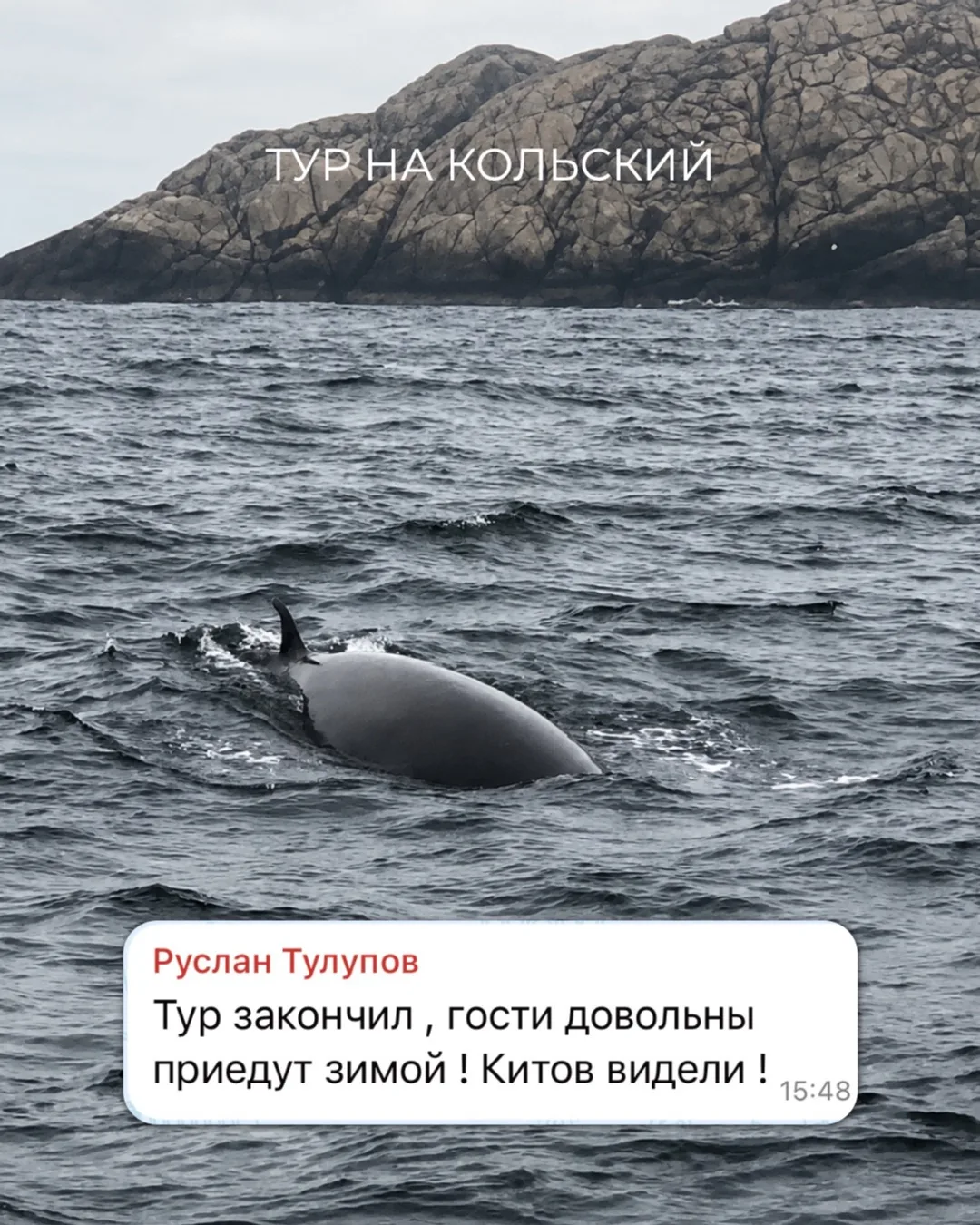 «Китов видели. Гости довольны. Приедут зимой» — пожалуй, лучший отчёт гида за смену 😂🐋