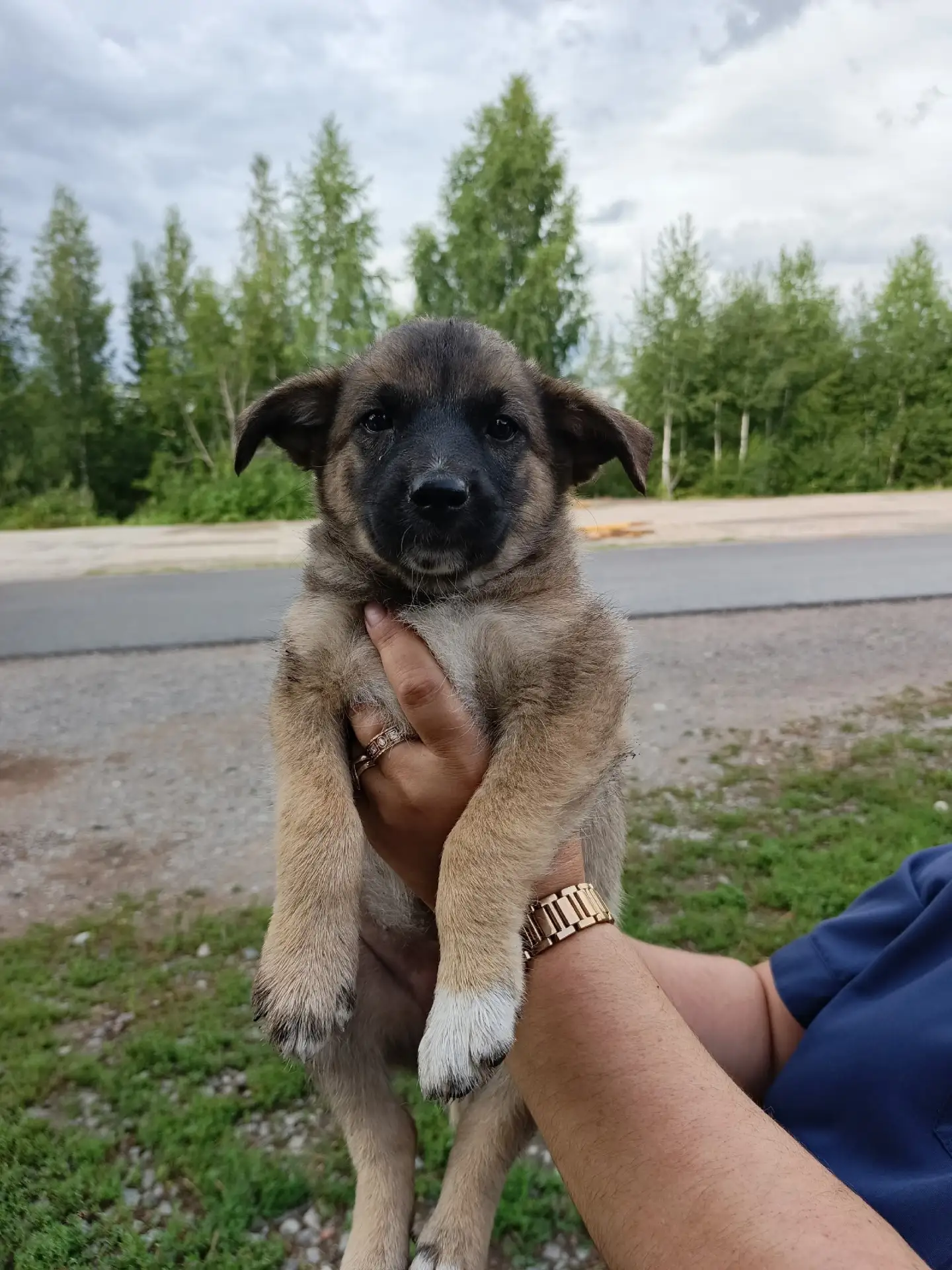 Красавица Альма ищет дом!