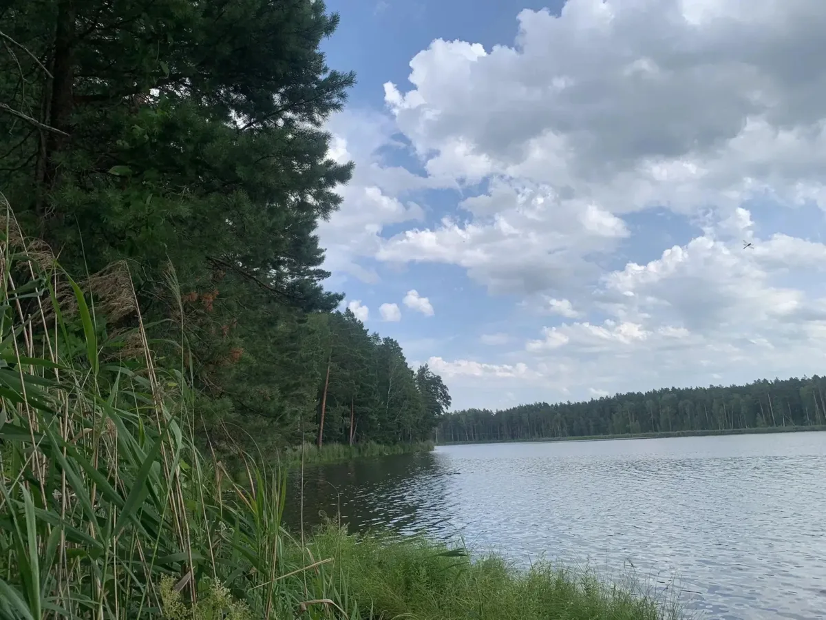 Природа дарит нам самое лучшее настроение🌸❤️