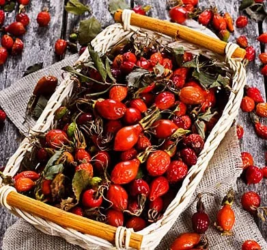 Отвар из корней шиповника при камнях в почках.