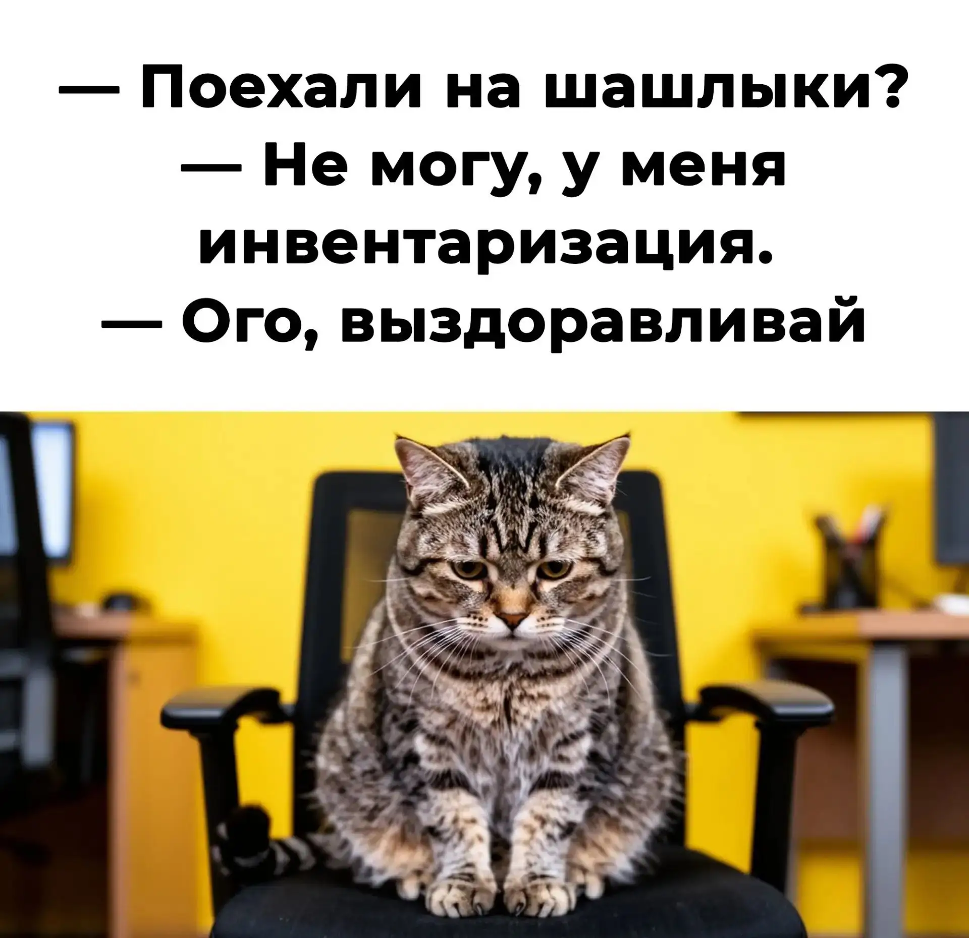 ФНС планирует на маркетплейсах предупреждать предпринимателей о налоговых рисках 👀