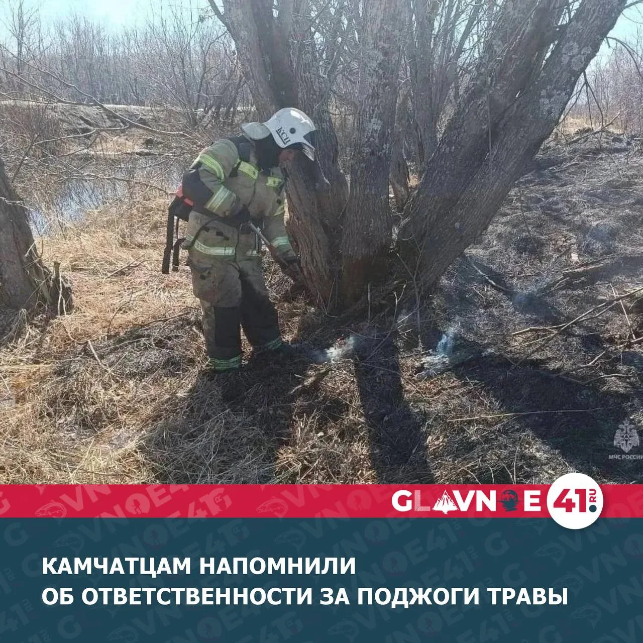 На территории Камчатского края зарегистрировано более 80 возгораний сухой растительности с начала по