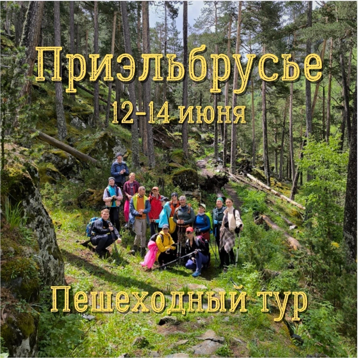 ПРИЭЛЬБРУСЬЕ 🌲🌸
