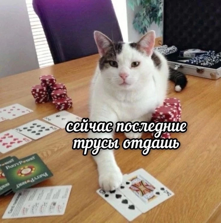 🚫🎰 Более 15 тысяч россиян запретили себе лудоманить в первые же сутки введения самоза...