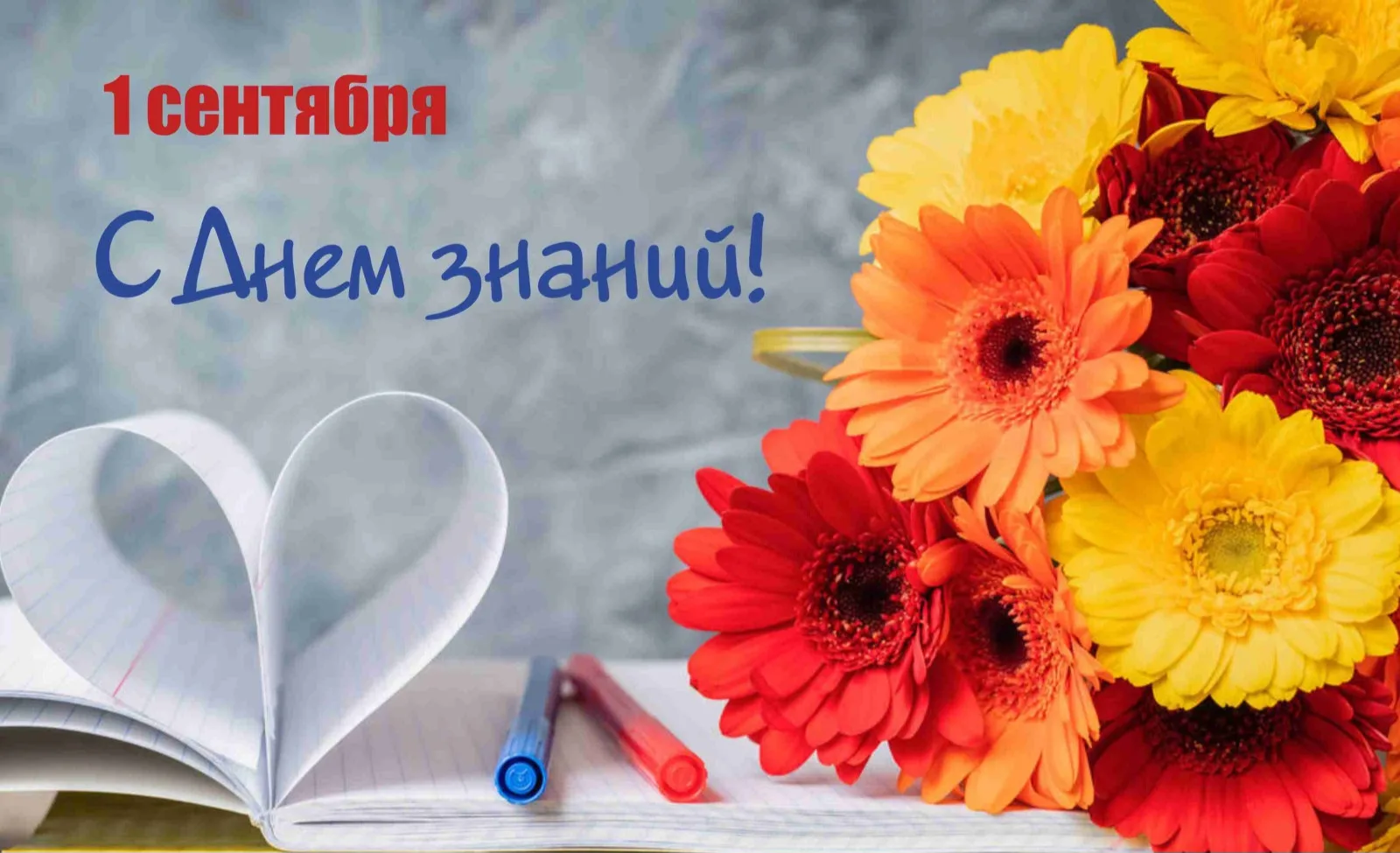 Дорогие друзья!