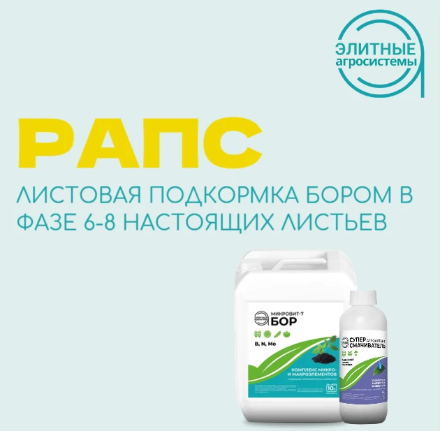 🌱 Во всех регионах России продолжается вегетация озимого рапса. Сейчас одна из важных ...