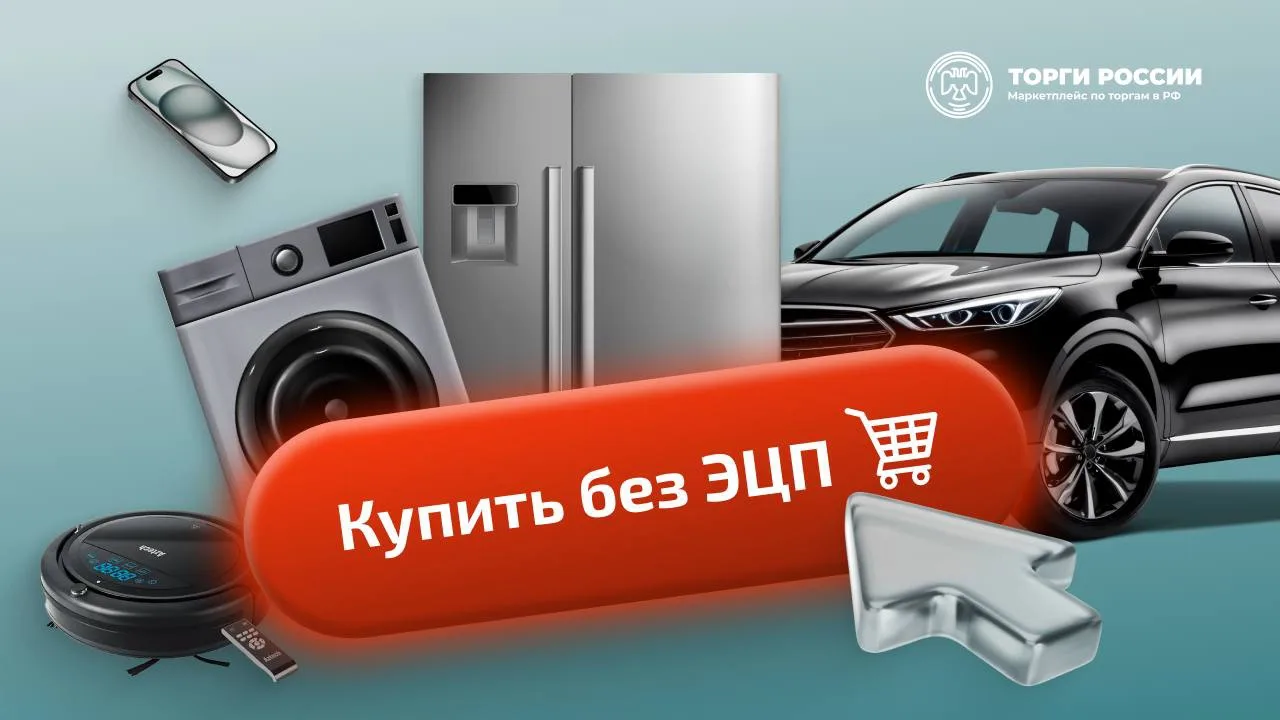 Торги без ЭЦП: как купить лот вне торговой площадки?