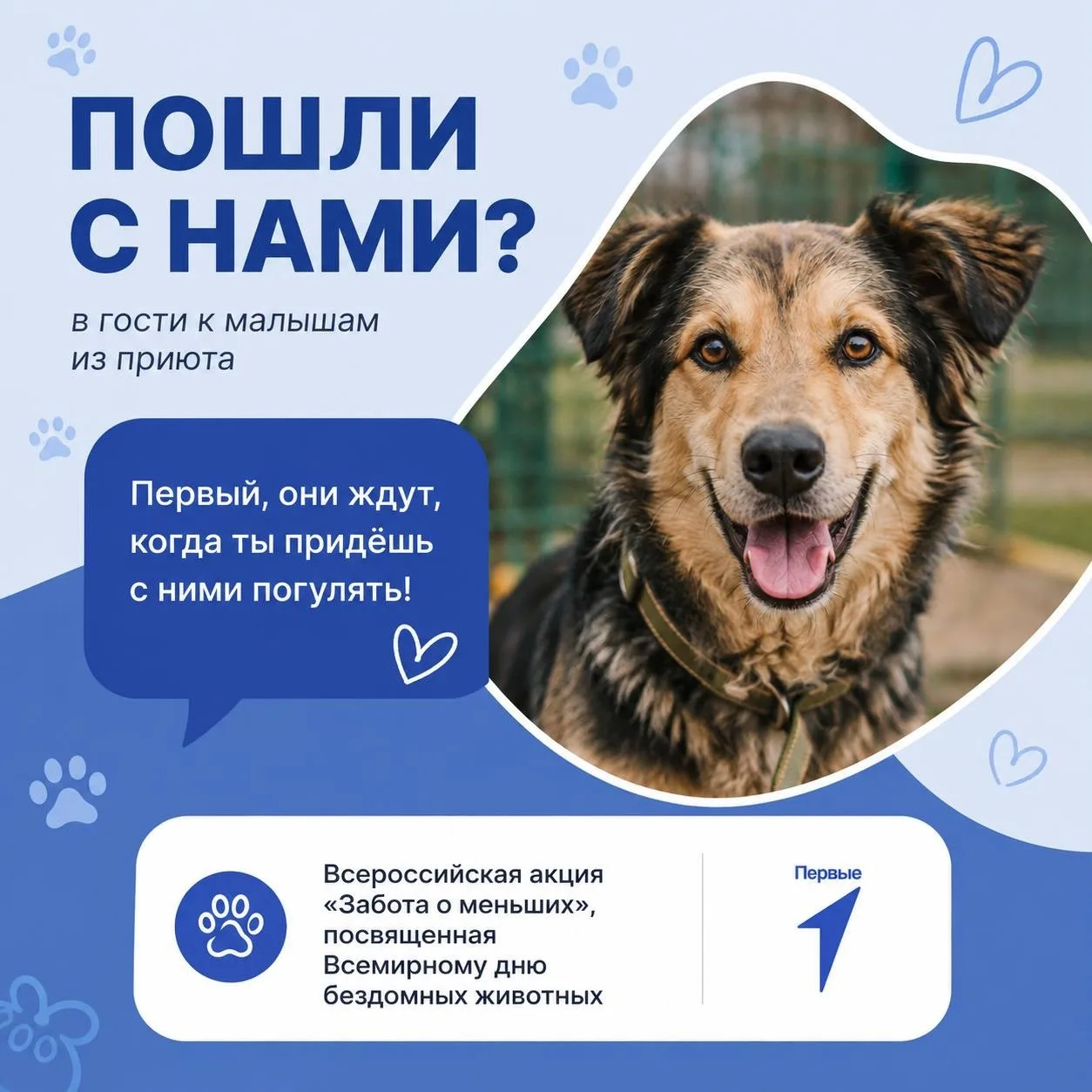 Подари заботу тем, кто в ней нуждается! 🐾