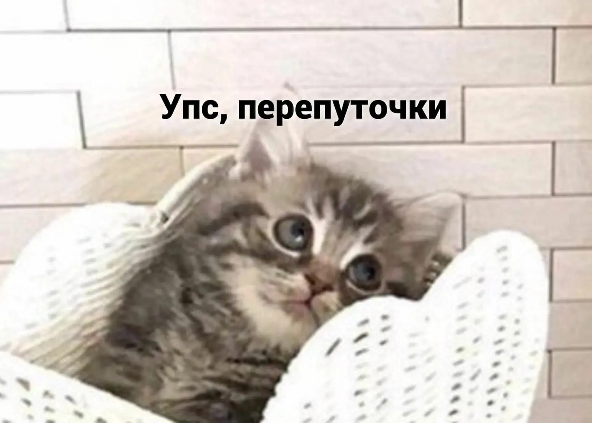 Россиянка обратилась в полицию из-за кражи у неё украшений на сумму 1,5 млн рублей. Пра...