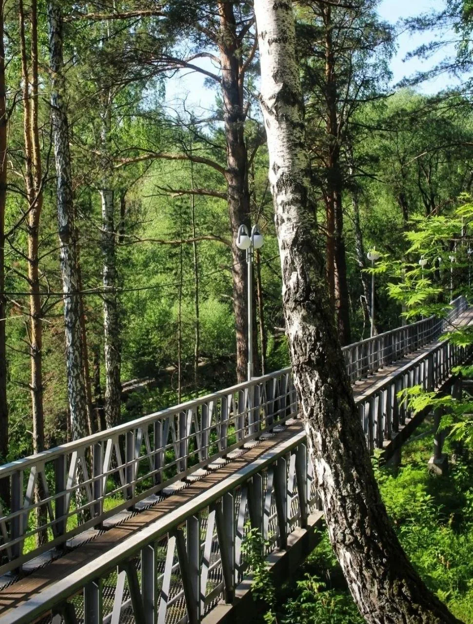 😍 Шикарные летние кадры, снятые у ЦСБС СО РАН

📍 Новосибирск 
👉 Подписаться
🔥 Новосибирск ЧП