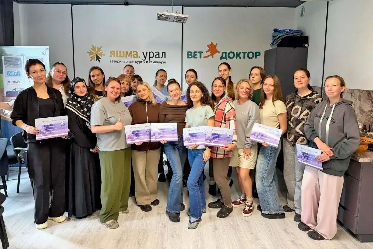 ⚡️Курсанты второй ступени курса по УЗИ отработали практику на аппаратах VETLIGA