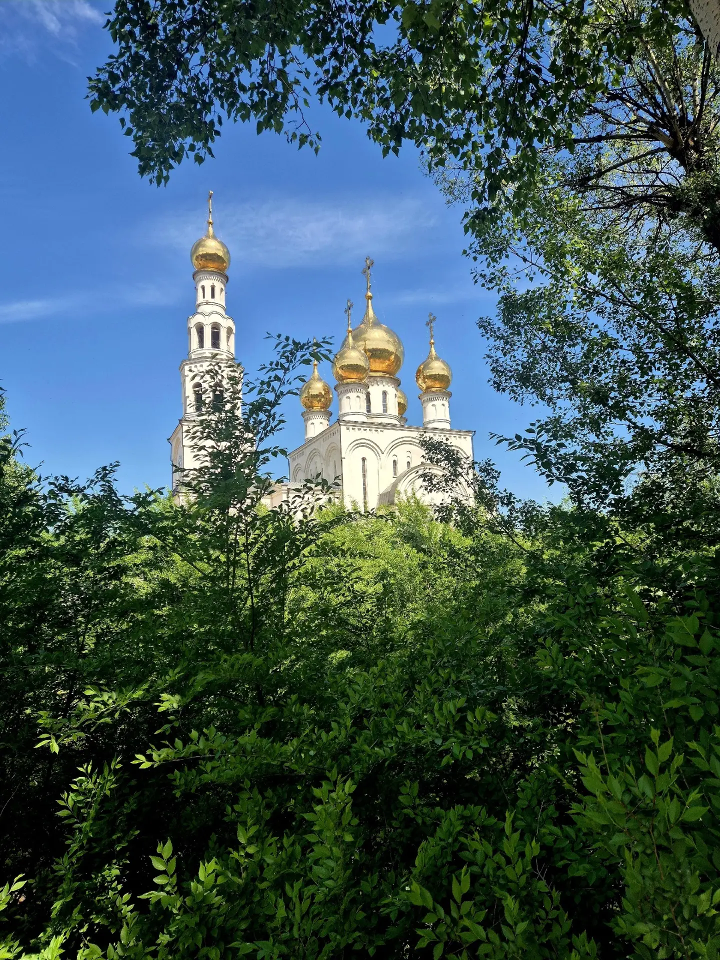 Благодарим нашу подписчицу за эти невероятные летние фотокарточки 🌸