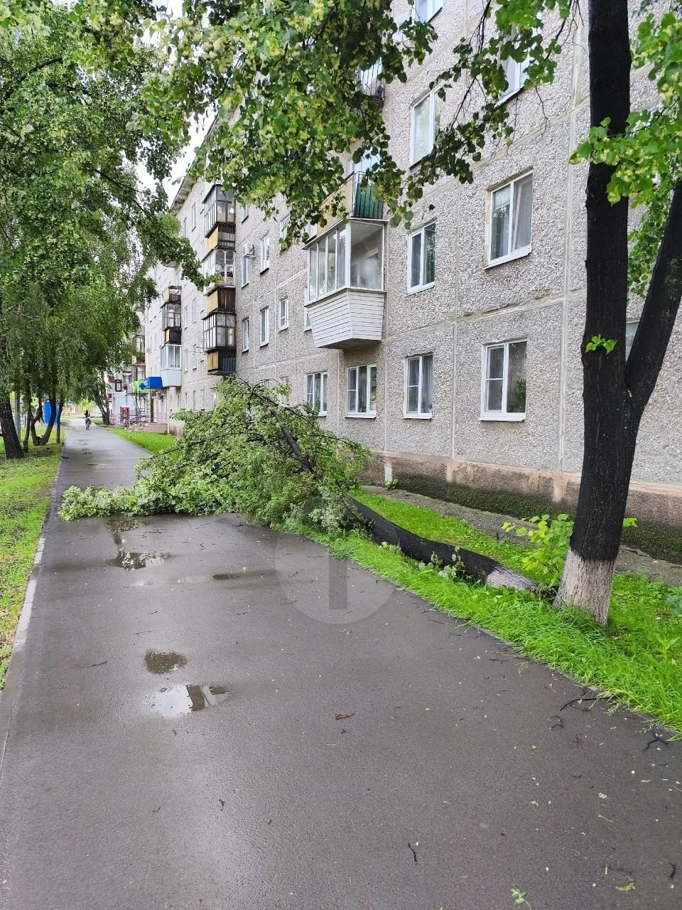Последствия ночного урагана. Юбилейная 21...😔