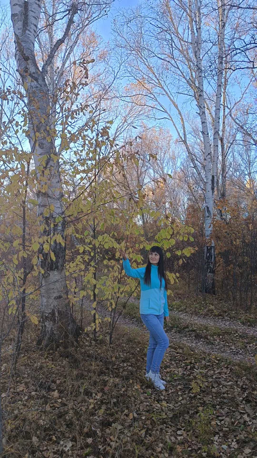 Тоже оставлю тут 🍁😇