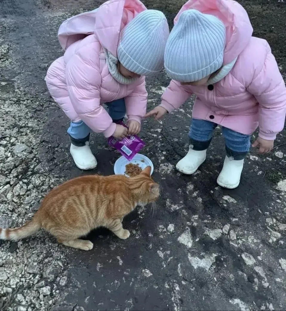 🚦Не бывает чужих животных — бывают те, кому не повезло и они остались на улице. Воспит...