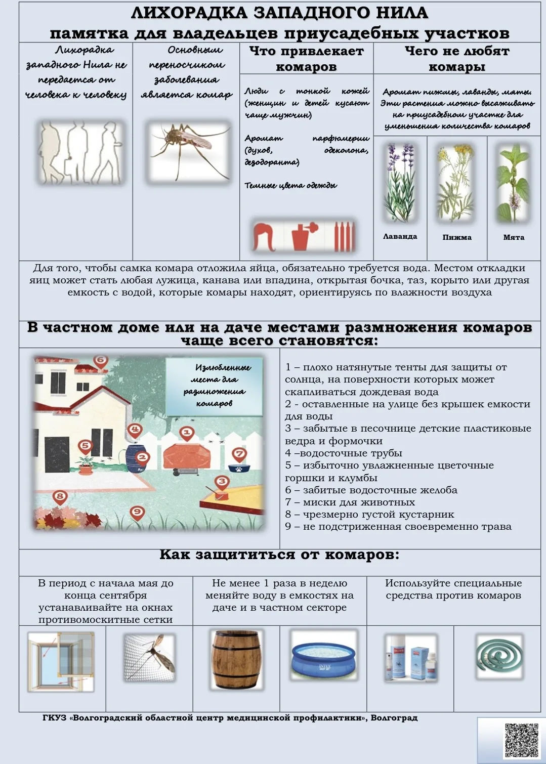 🦟 Осторожно: лихорадка Западного Нила! Как защитить себя?

Сезон активности комаров в самом разгаре