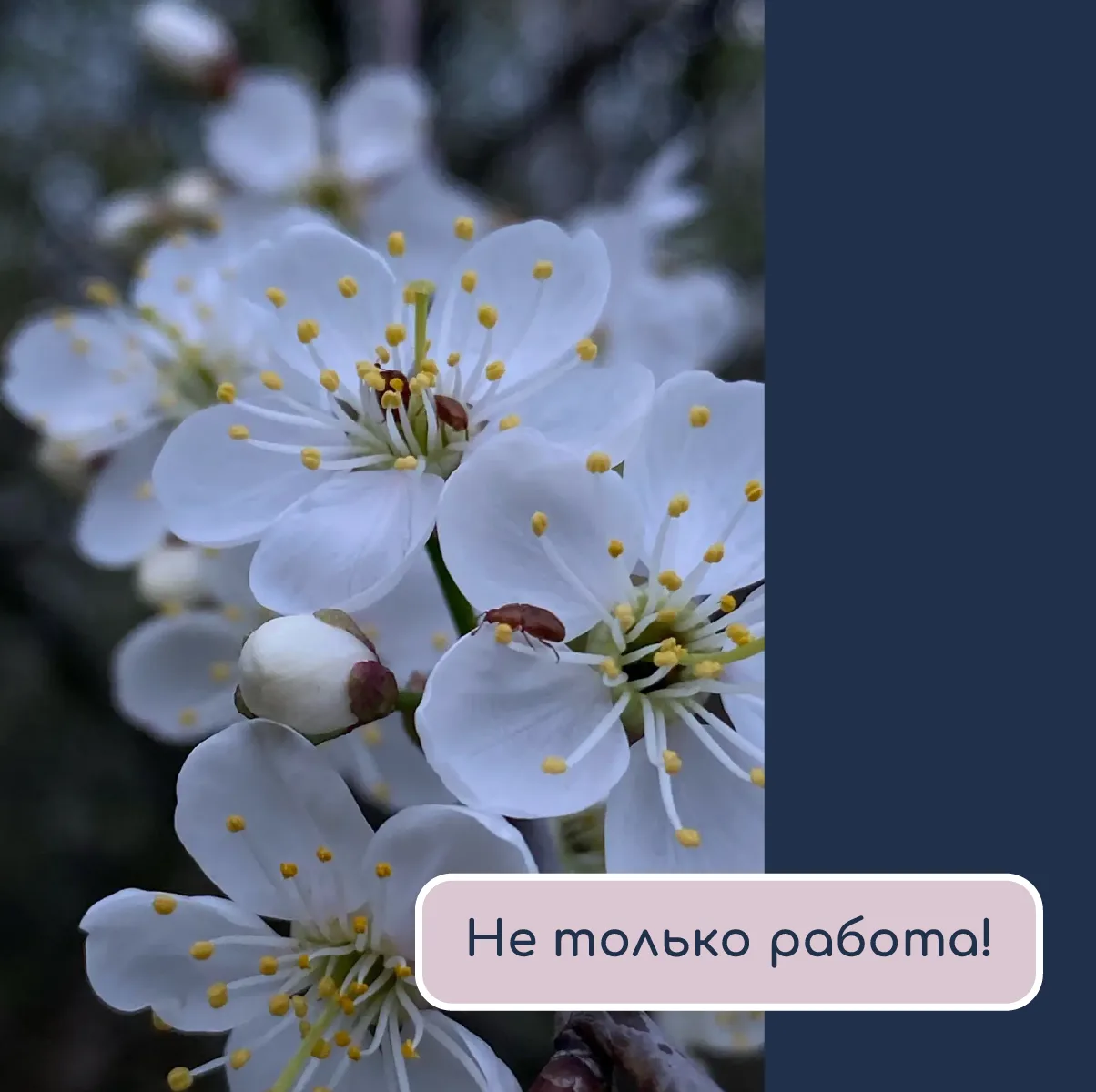 Сегодня у меня день культурных мероприятий! 🎉

Одна из моих внучек участвовала в спектакле Московск