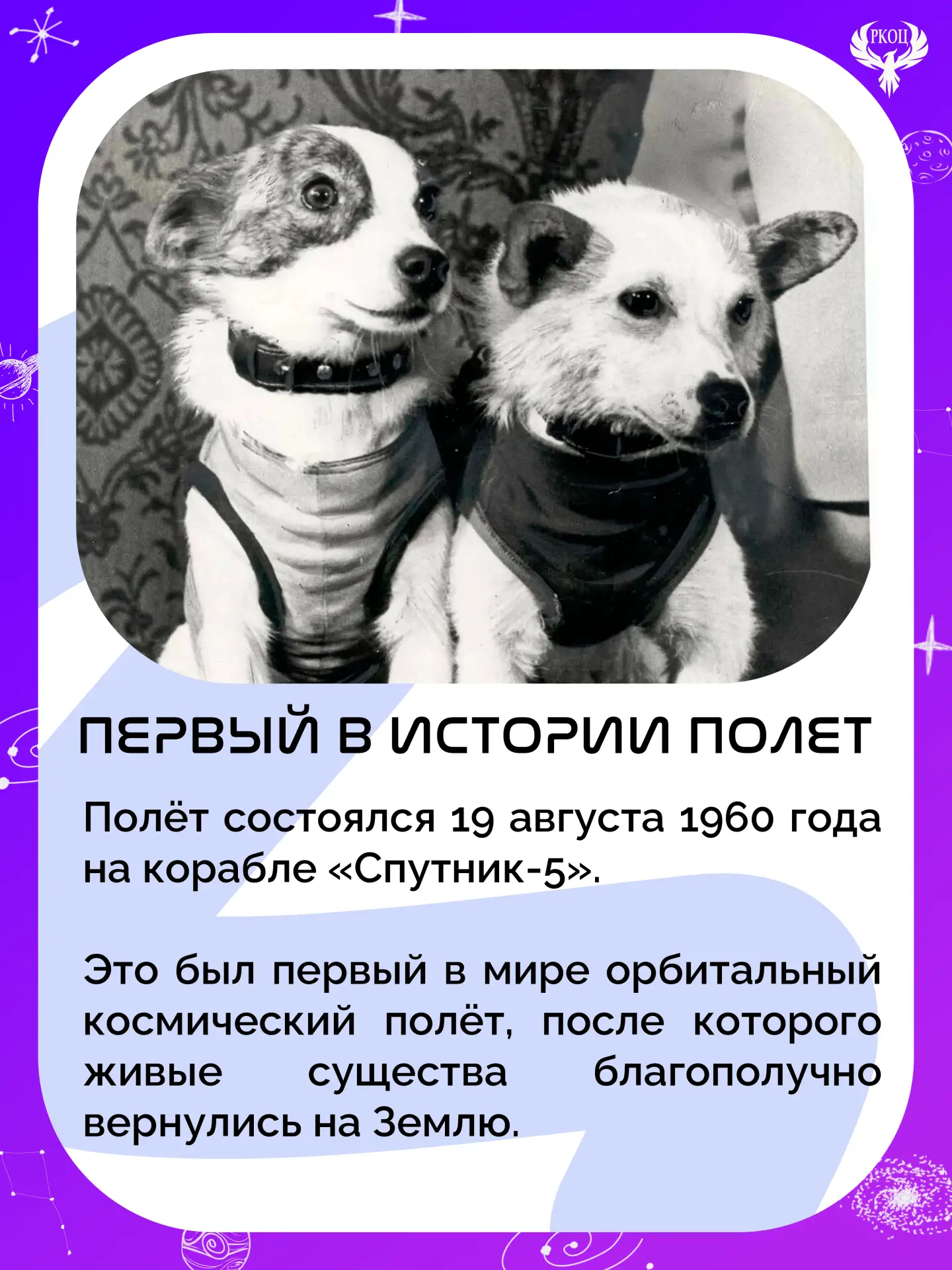 19 августа 1960 года. День, который решил судьбу первого человека в космосе