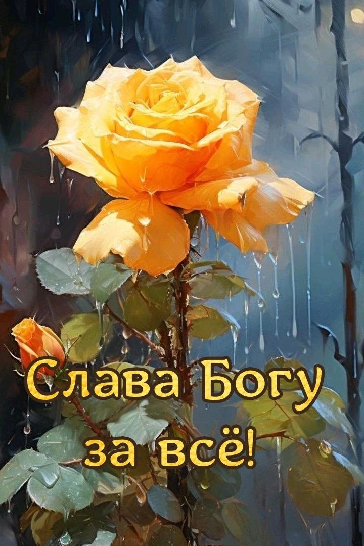 Развивайте в себе способность не ломаться!
Гнуться? Да! Отступать? Да! Плакать и скорбеть? Да! Но не