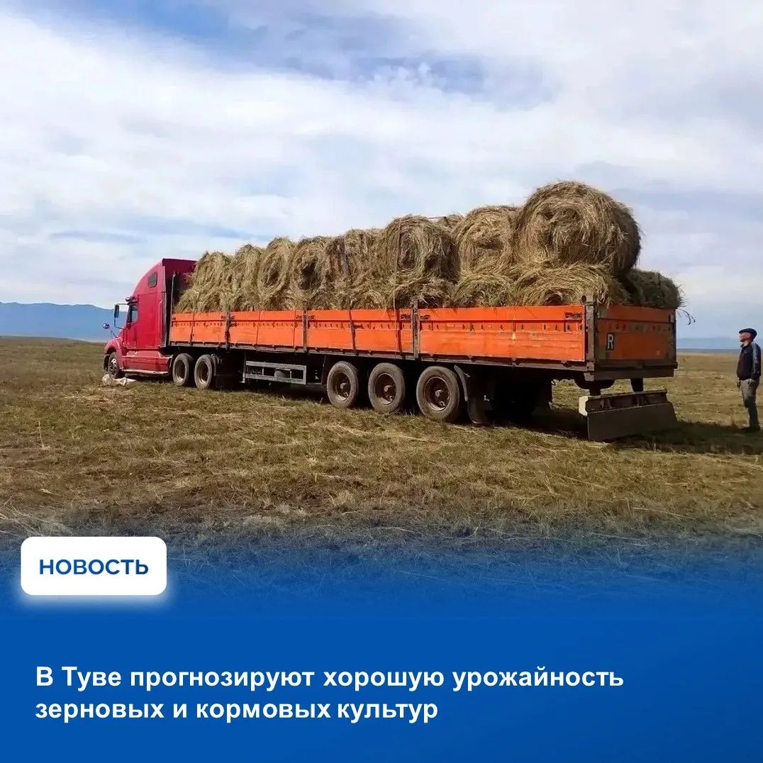 ✅Основываясь на данных Россельхозцентра, Министерство сельского хозяйства Тувы прогнози...