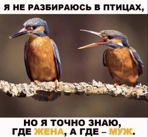 Я девочка, мне можно!