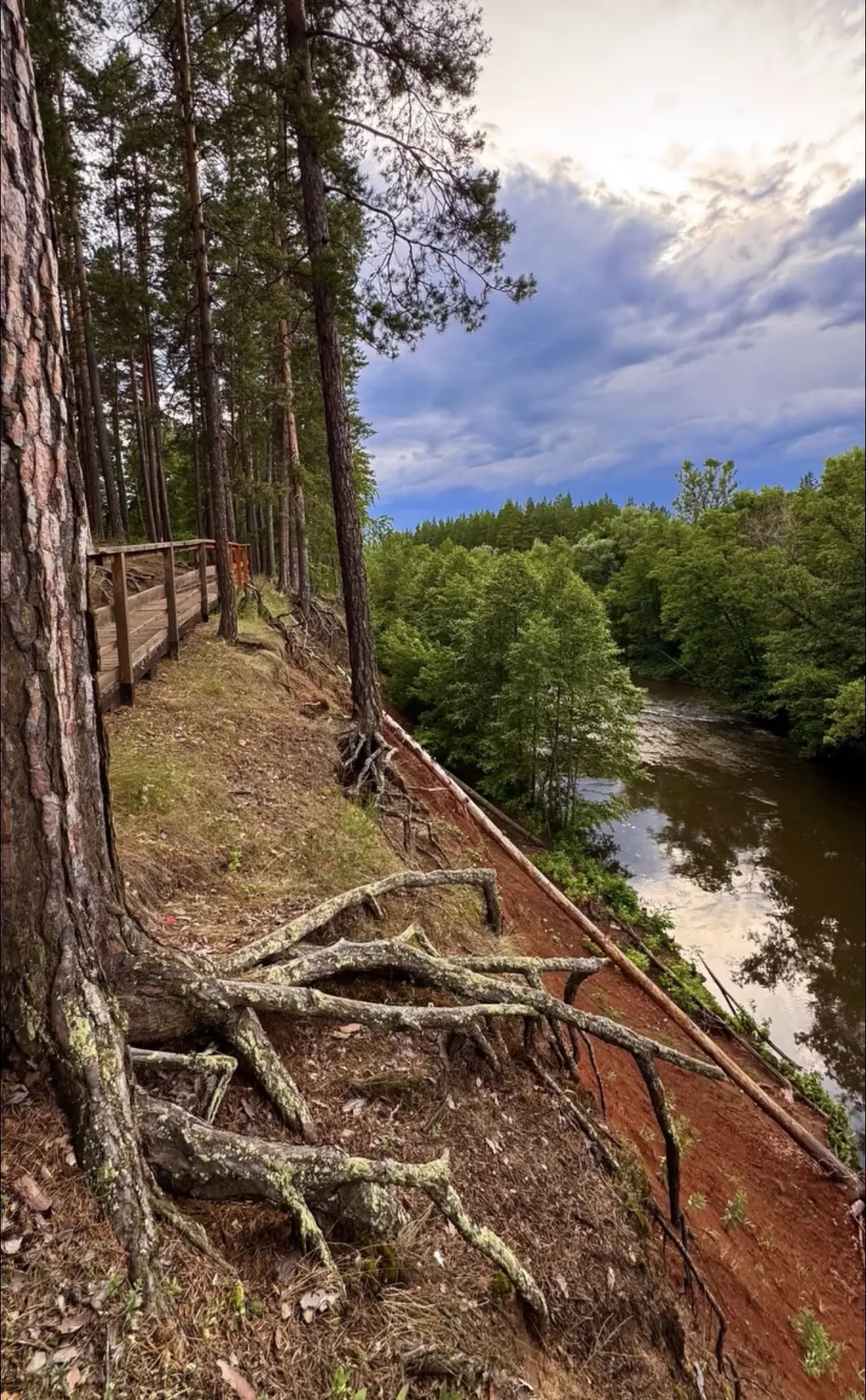 Красота Паникского яра в бору❤️