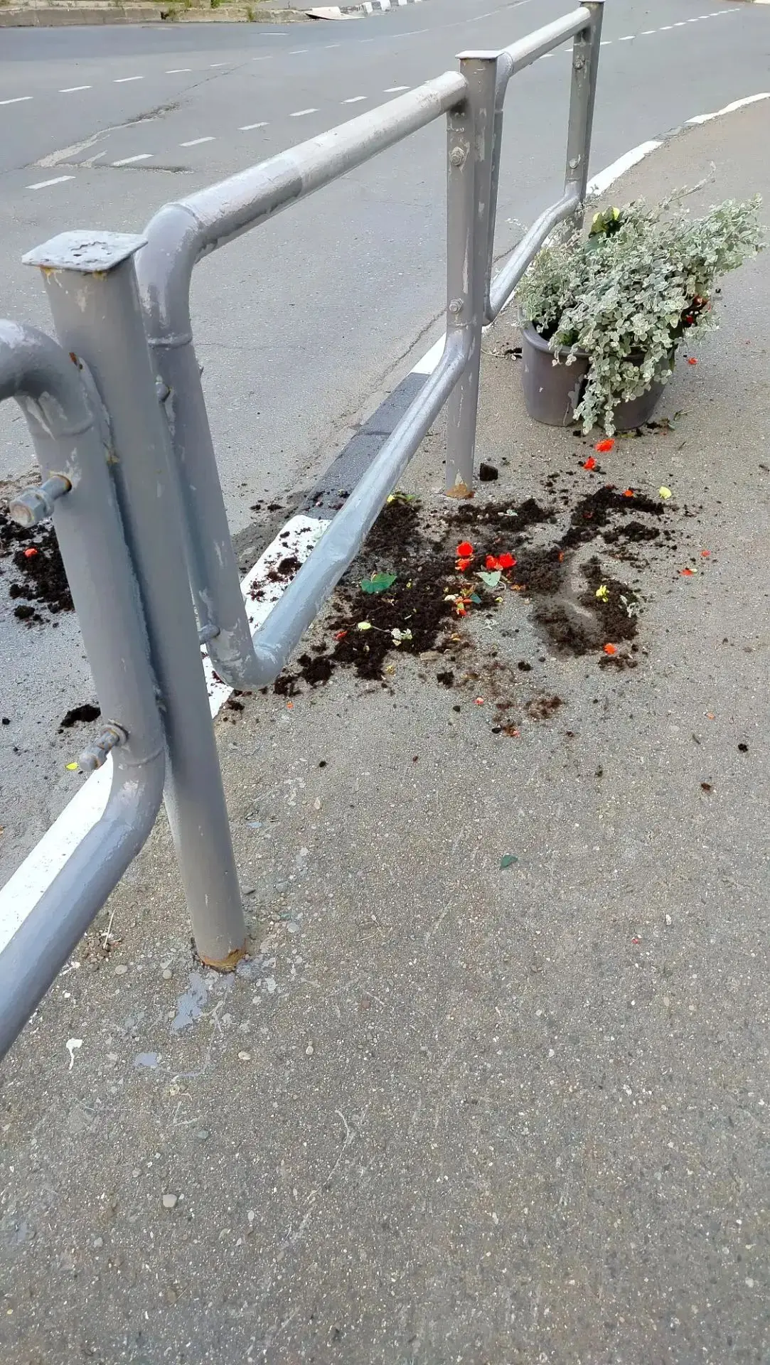 В Холмске по улице Победы неизвестные перевернули кашпо с цветами. Кому могли помешать ...