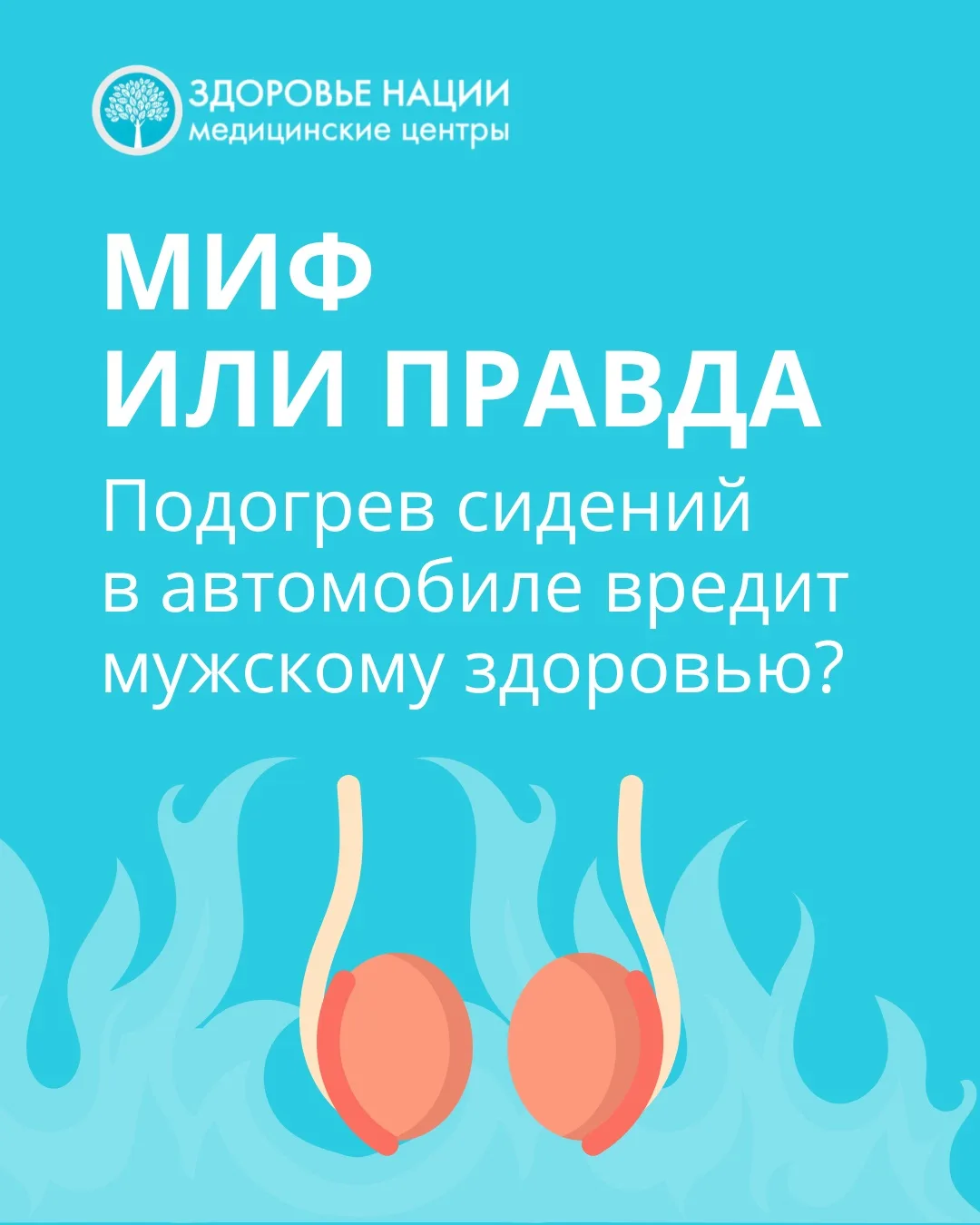 ❗️Миф или правда: подогрев сидений в автомобиле вредит мужскому здоровью?