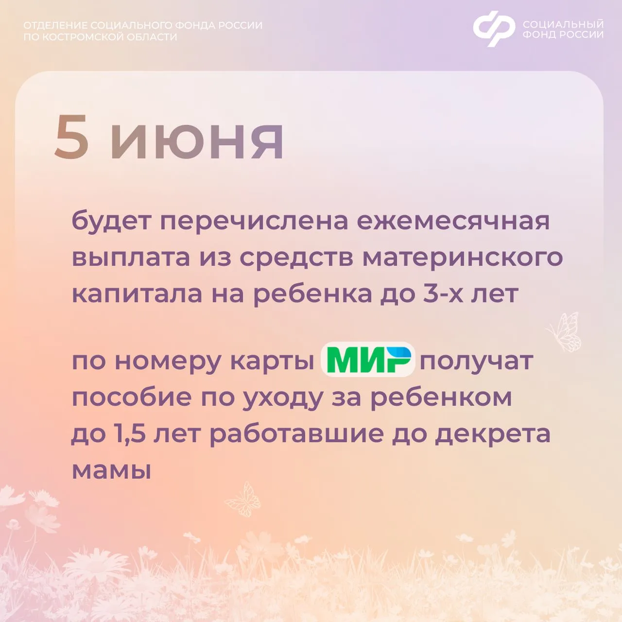 Изображение 3 к публикации «Социальный фонд России по Костромской области»
