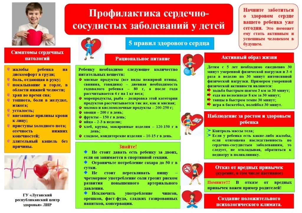 Профилактика болезней сердца
Наше сердце – это настоящий мотор, который работает без остановки всю н