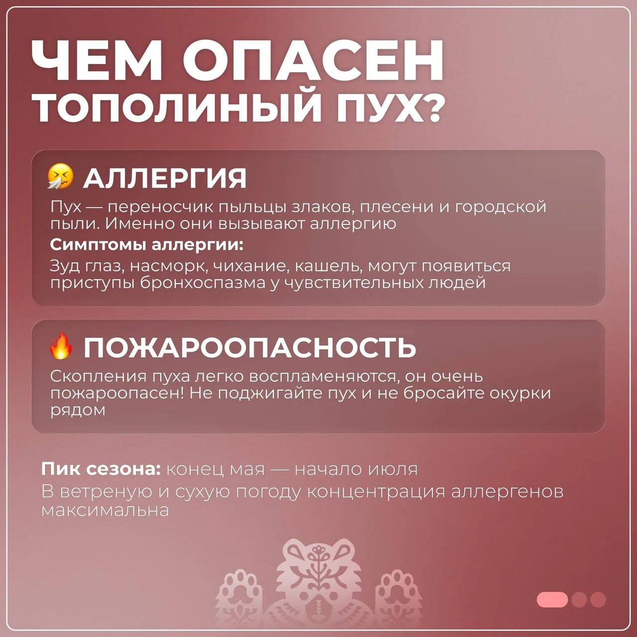 Изображение 4 к публикации «Новости Йошкар-Олы и Марий Эл»