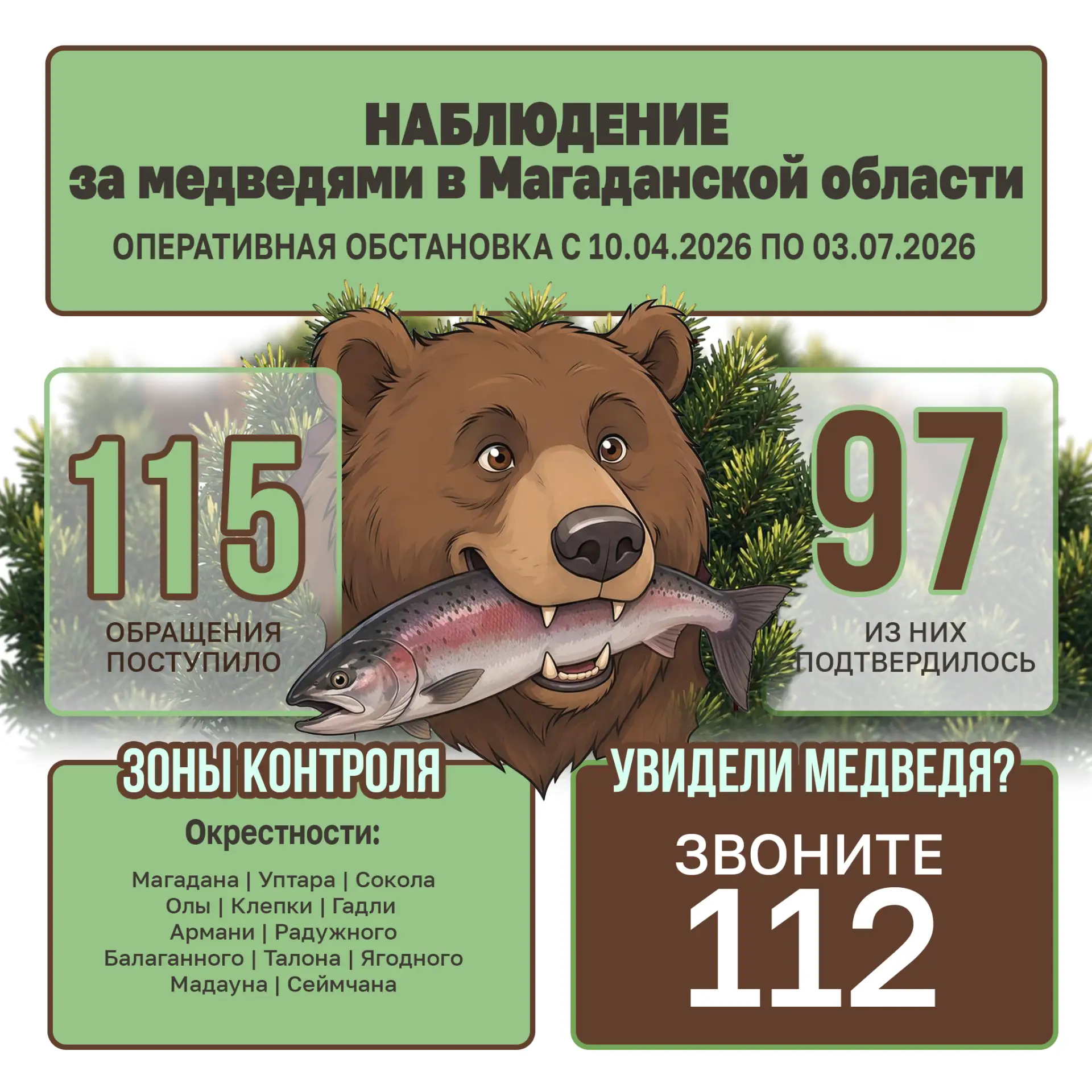 🐻 С начала мониторинга колымчане 115 раз сообщили о выходе медведей к людям или оставл...