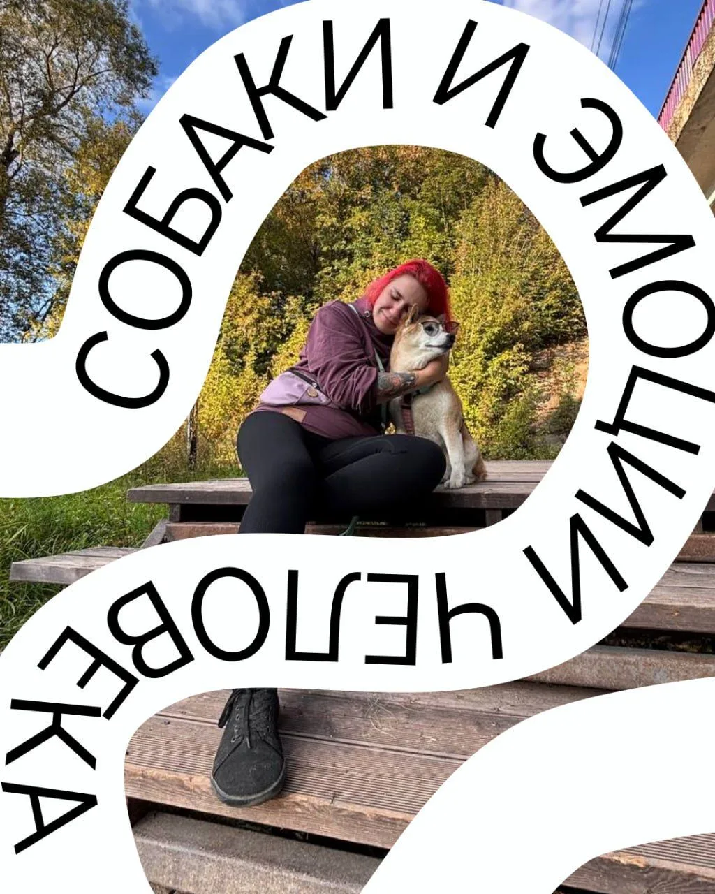 Как питомцы чувствуют нас?

Собаки удивительно чутко реагируют на наши эмоции. Они могут ощущать гру