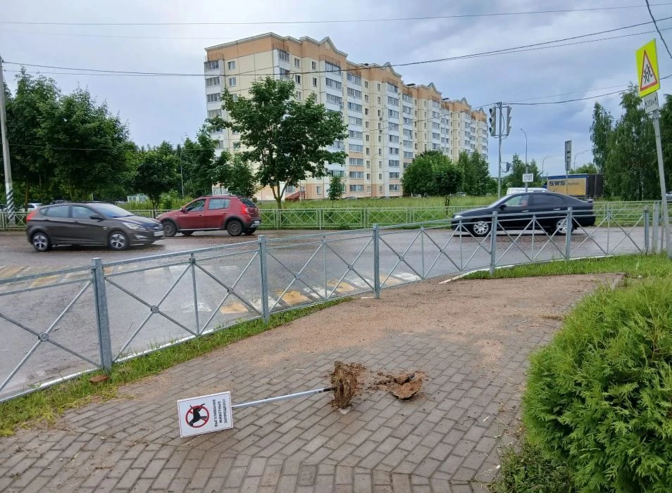 😡Кто-то вырвал знак "Выгуливание животных запрещено!" и бросил на тротуаре на улице Гагарина. Очень