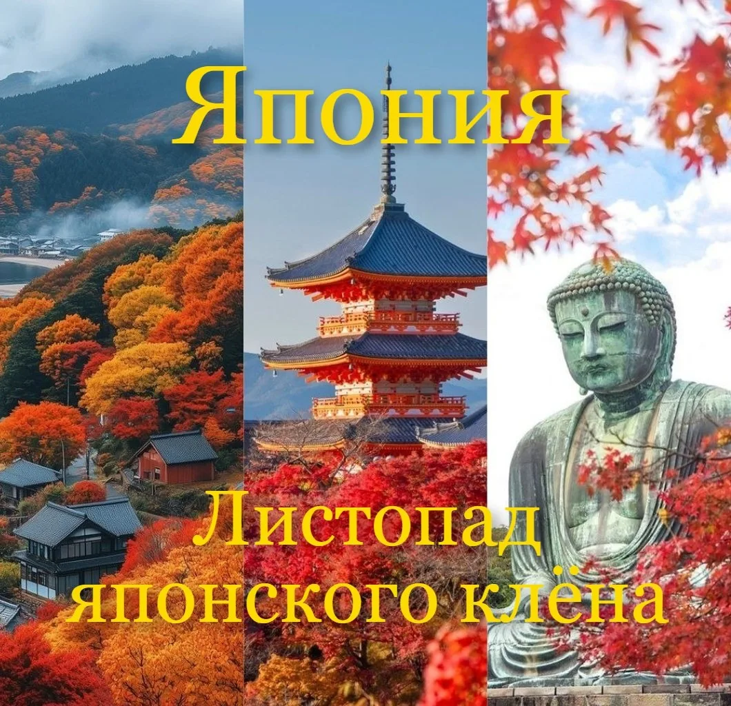 🏯Япония! Экскурсии!🍁