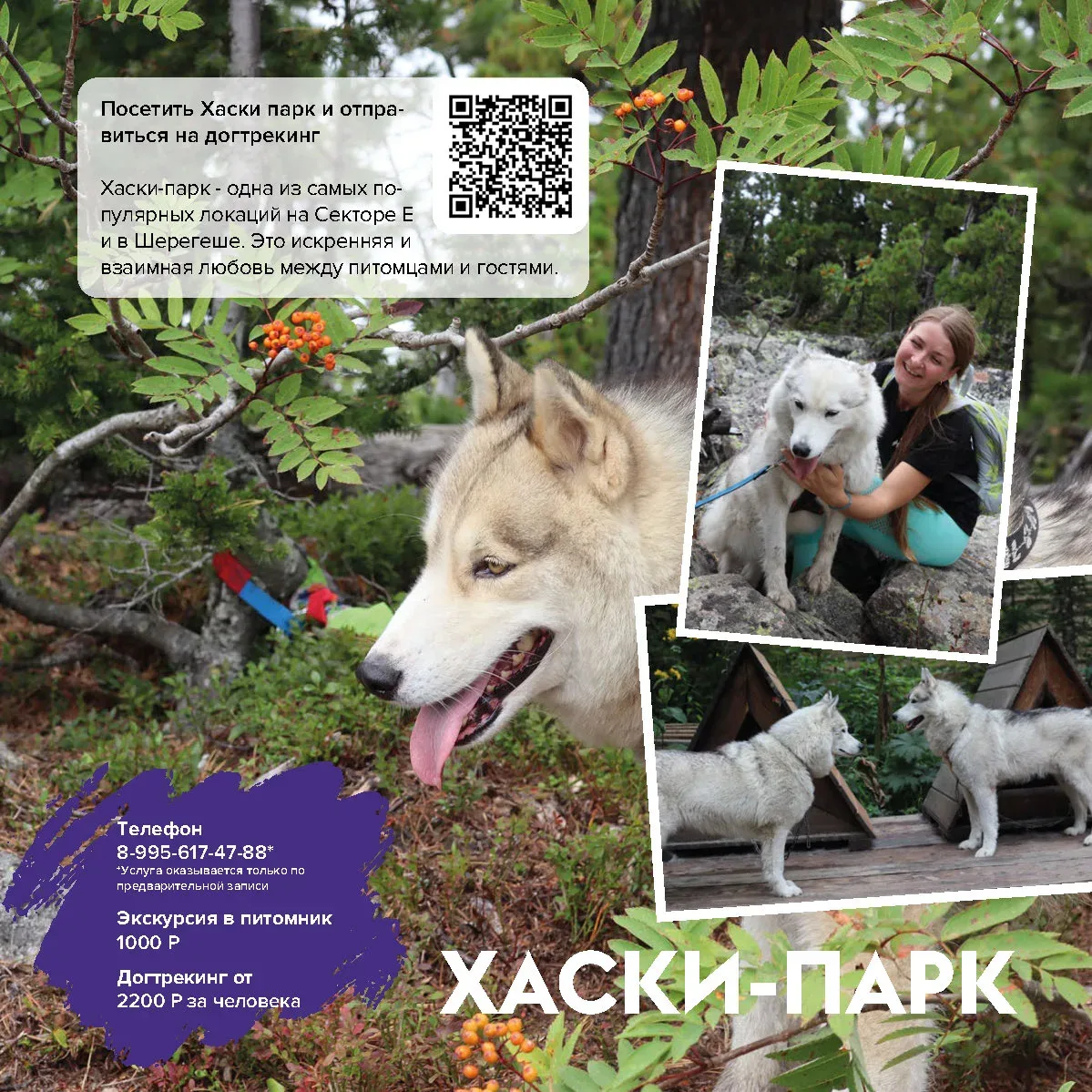 🐕 Хаски-парк
→ экскурсия знакомство с хаски
🕘 11:00, 13:00, 15:00, 17:00 
→ догтрекинг
📍Сектор Е
