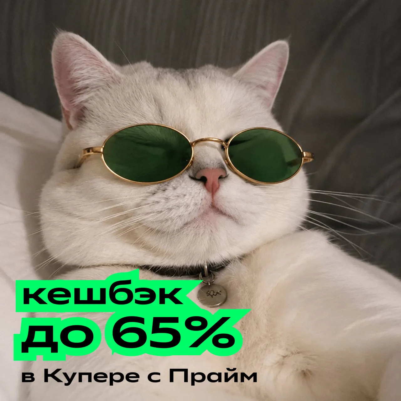 Любишь, когда заказ радует дважды? 🟢

Оформи подписку Прайм и получи кешбэк до 65% бонусами Спасибо