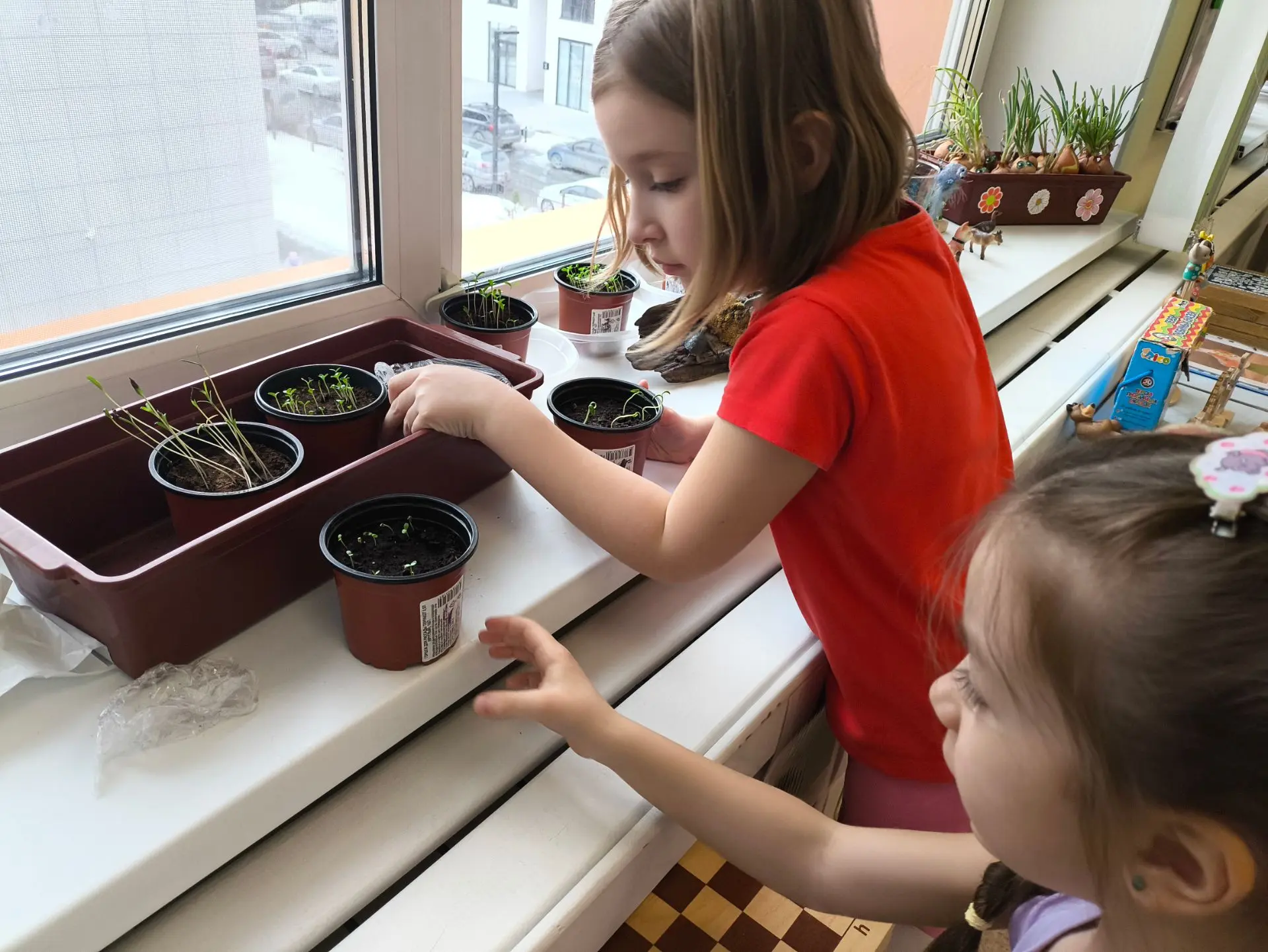 🌱 Это лето на нашем огороде — особенное!
