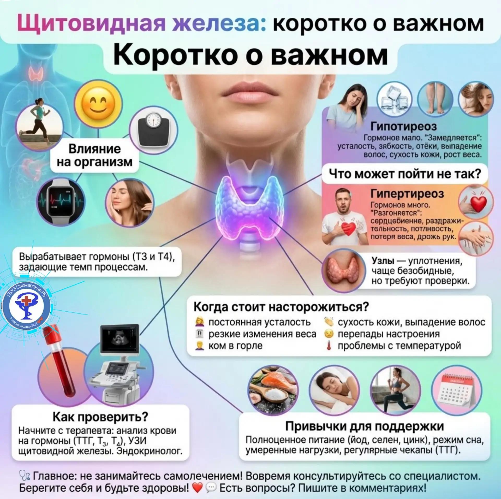 🦸‍♀️ Щитовидная железа: коротко о важном