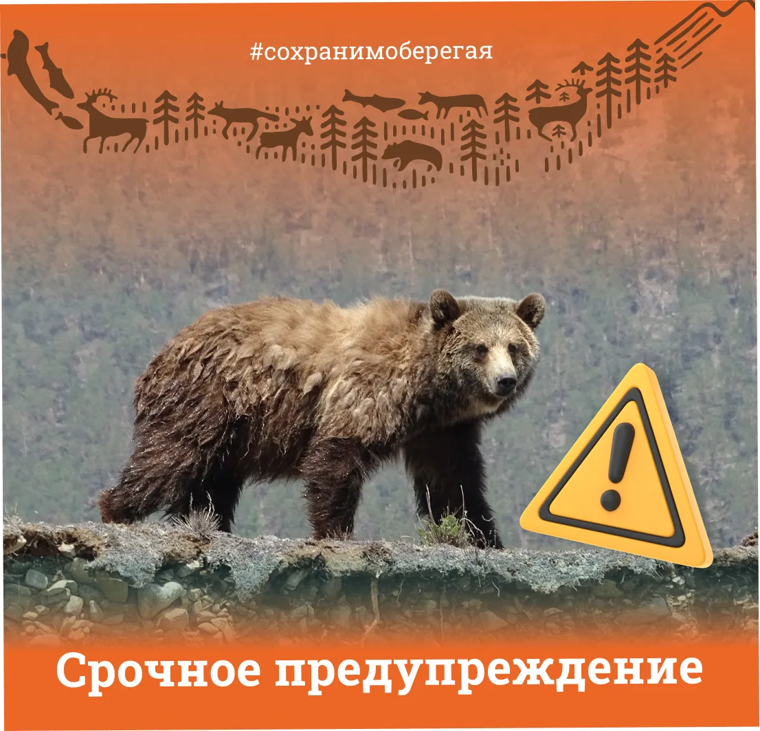 СРОЧНОЕ ПРЕДУПРЕЖДЕНИЕ