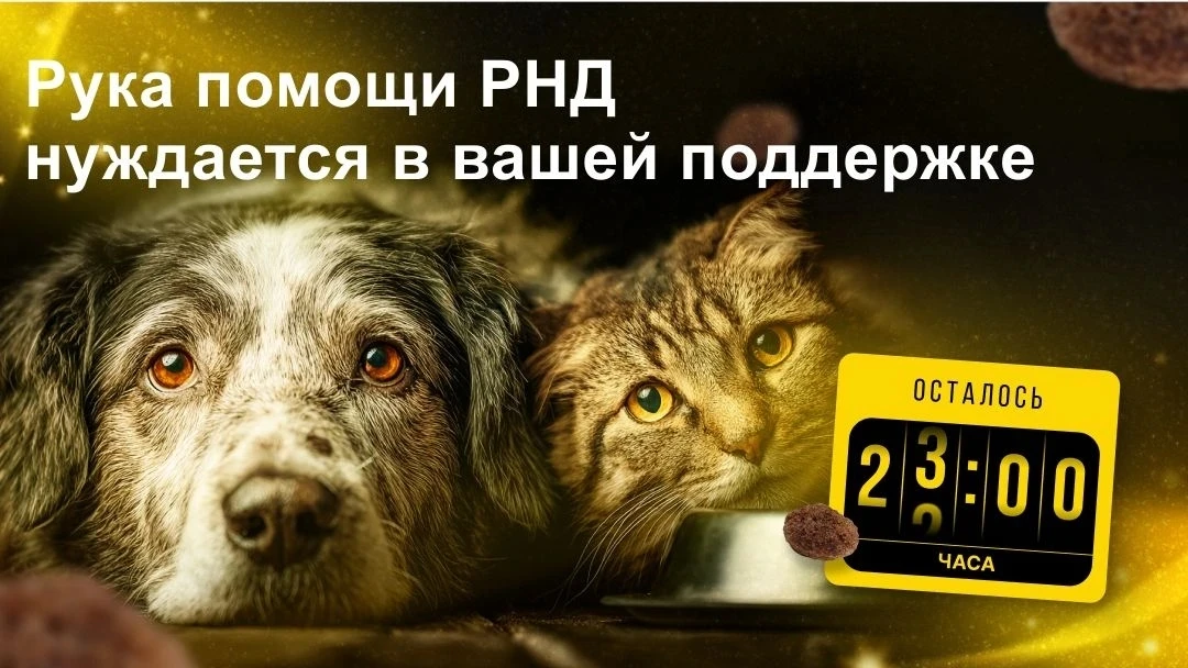 Через 8 часов заканчивается «корзина помощи» для "Рука помощи РНД". Мы волонтёры, Виктория и Наталья