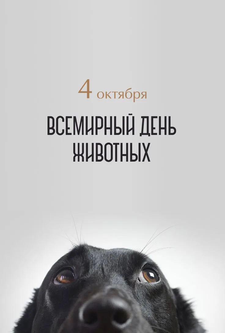 С Днём защиты животных, друзья! 🎉🐶