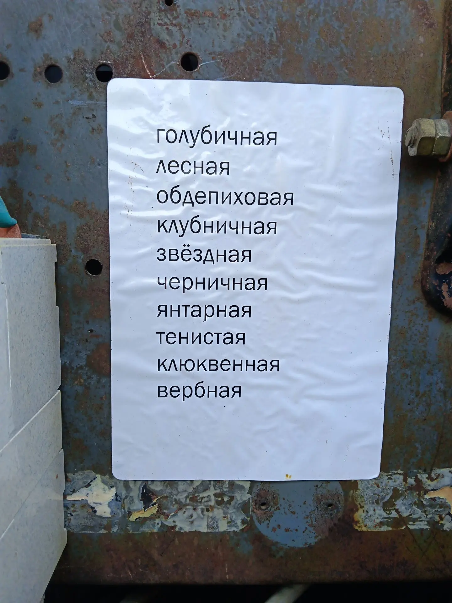 Медиа публикации